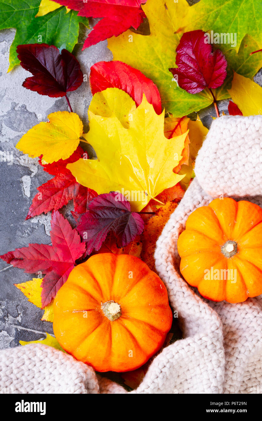 Thanksgiving pumpkins with fall leaves Stock Photo - Alamy