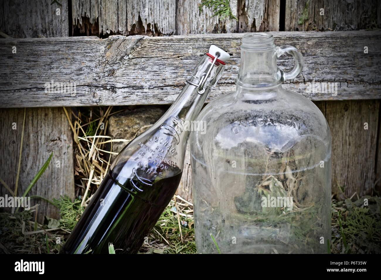 Wine bottles on grass Stock Photo