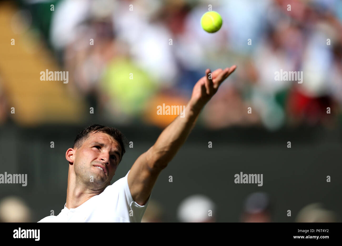 Grigor Dimitrov on day One of the Wimbledon Championships at the All England Lawn Tennis and Croquet Club, Wimbledon. Stock Photo