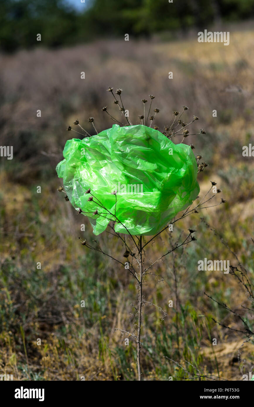 plastic bag with garbage hanging on tree in forest near the river.  pollution ecosystem problem , ecology environment trash Stock Photo - Alamy