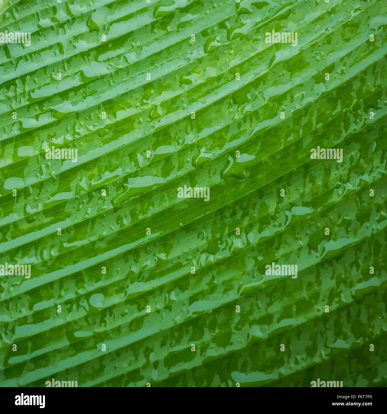 Green leaf with waterdrop, vector illlustration Stock Vector Image ...
