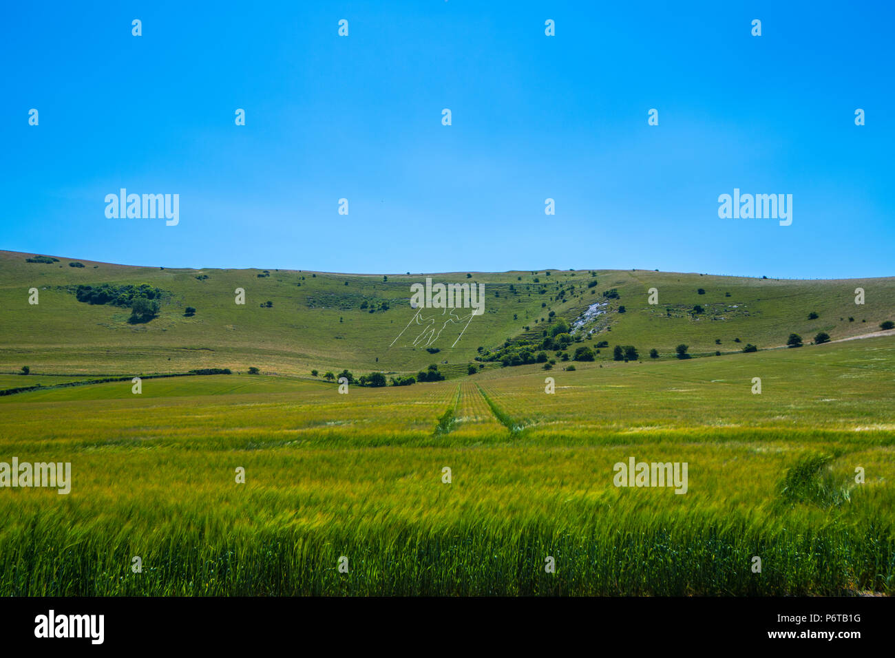 The ancient hill figure of the Long Man of Wilmington. Previously dated to the 18th century it is now thought to be Roman or before. Stock Photo