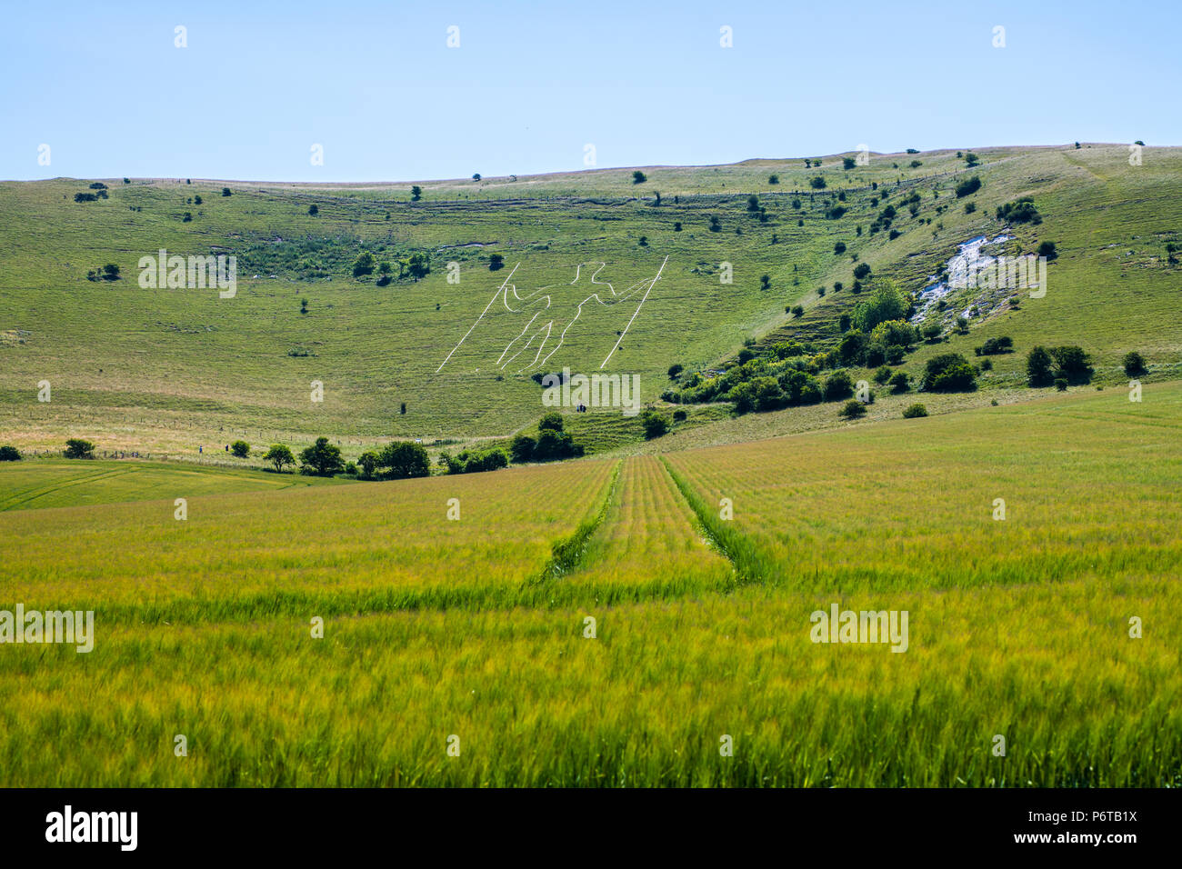 The ancient hill figure of the Long Man of Wilmington. Previously dated to the 18th century it is now thought to be Roman or before. Stock Photo