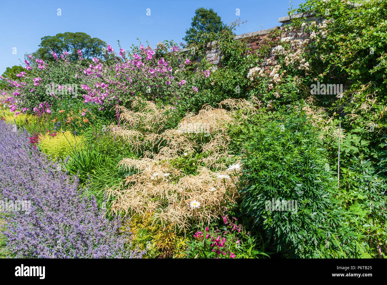 Herbaceous Borders Stock Photos & Herbaceous Borders Stock Images - Alamy