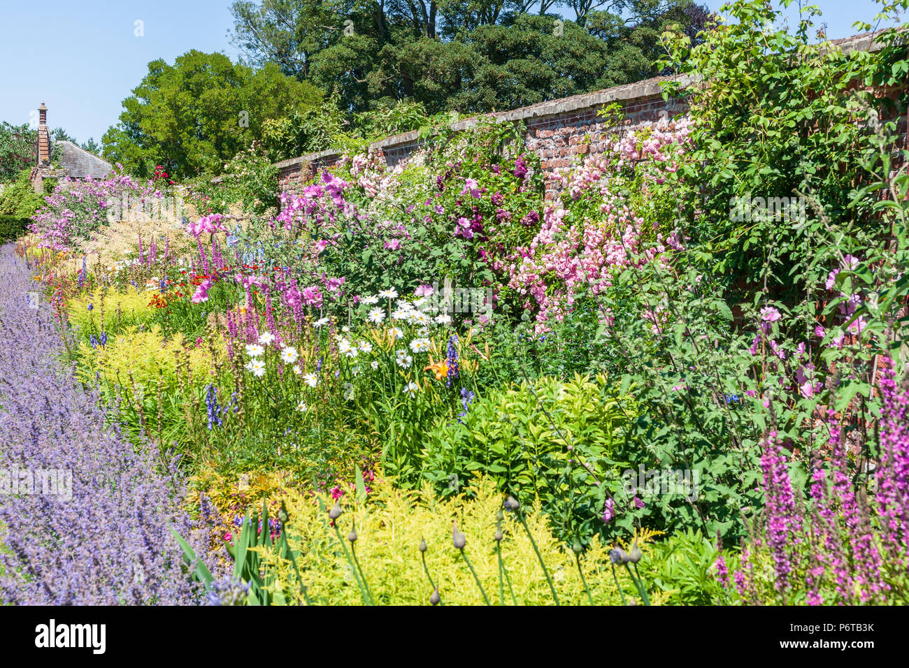 July garden border colours perennials hi-res stock photography and ...