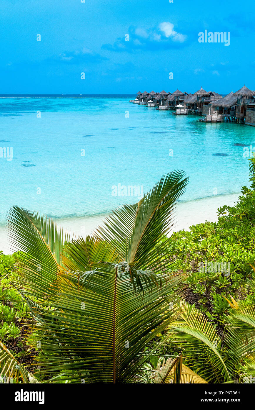 Maldives Beautiful Beach Background White Sandy Tropical Paradise Island With Blue Sky Sea Water Ocean Stock Photo Alamy
