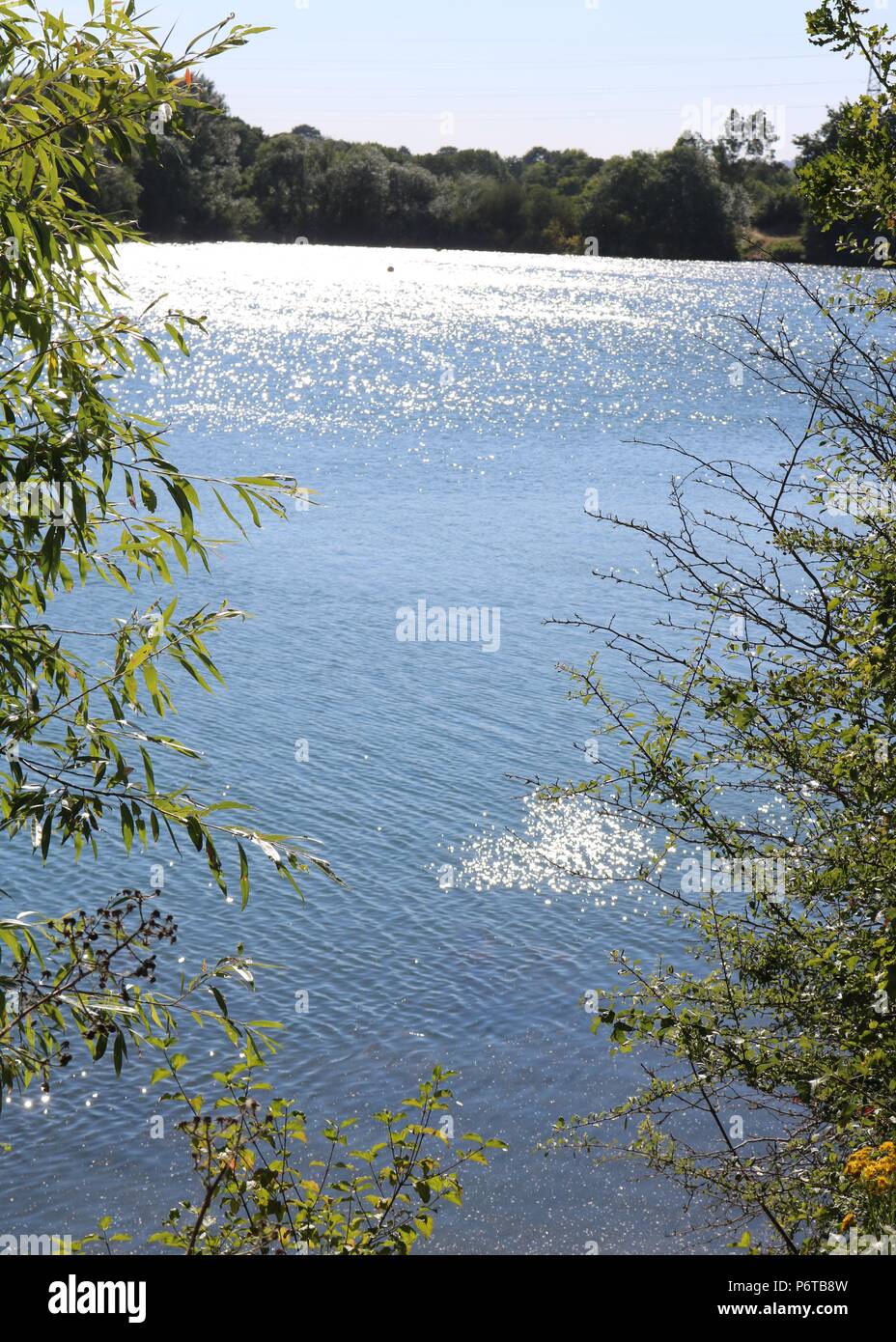 View of Lakes , Leybourne Lakes , Kent Stock Photo - Alamy