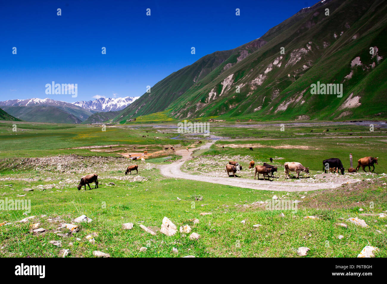 Truso valley in georgia hi res stock photography and images Alamy Truso valley in georgia hi res stock photography and images Alamy