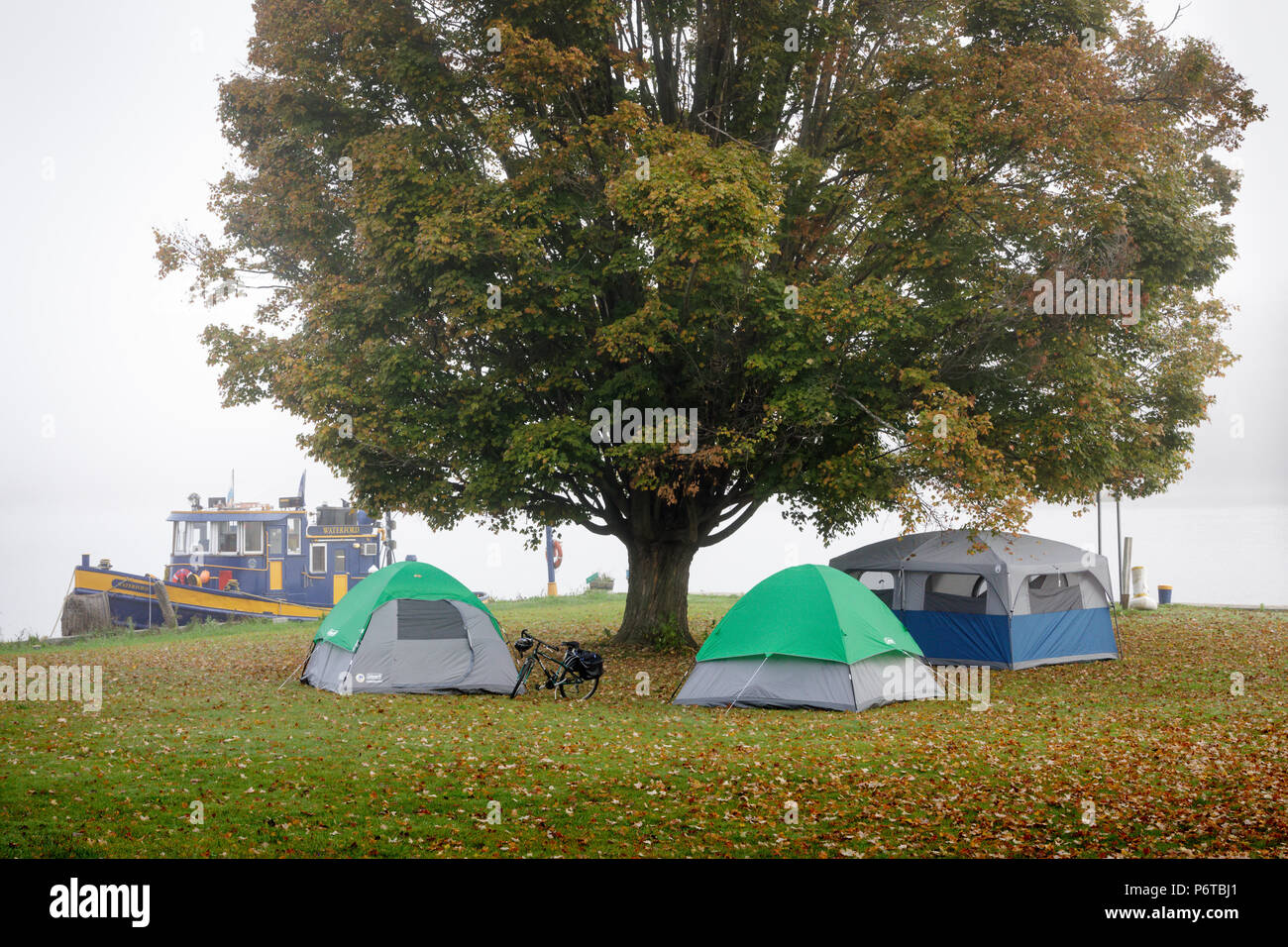 Fort Plain, New York State, USA Campers wake up to a foggy morning at