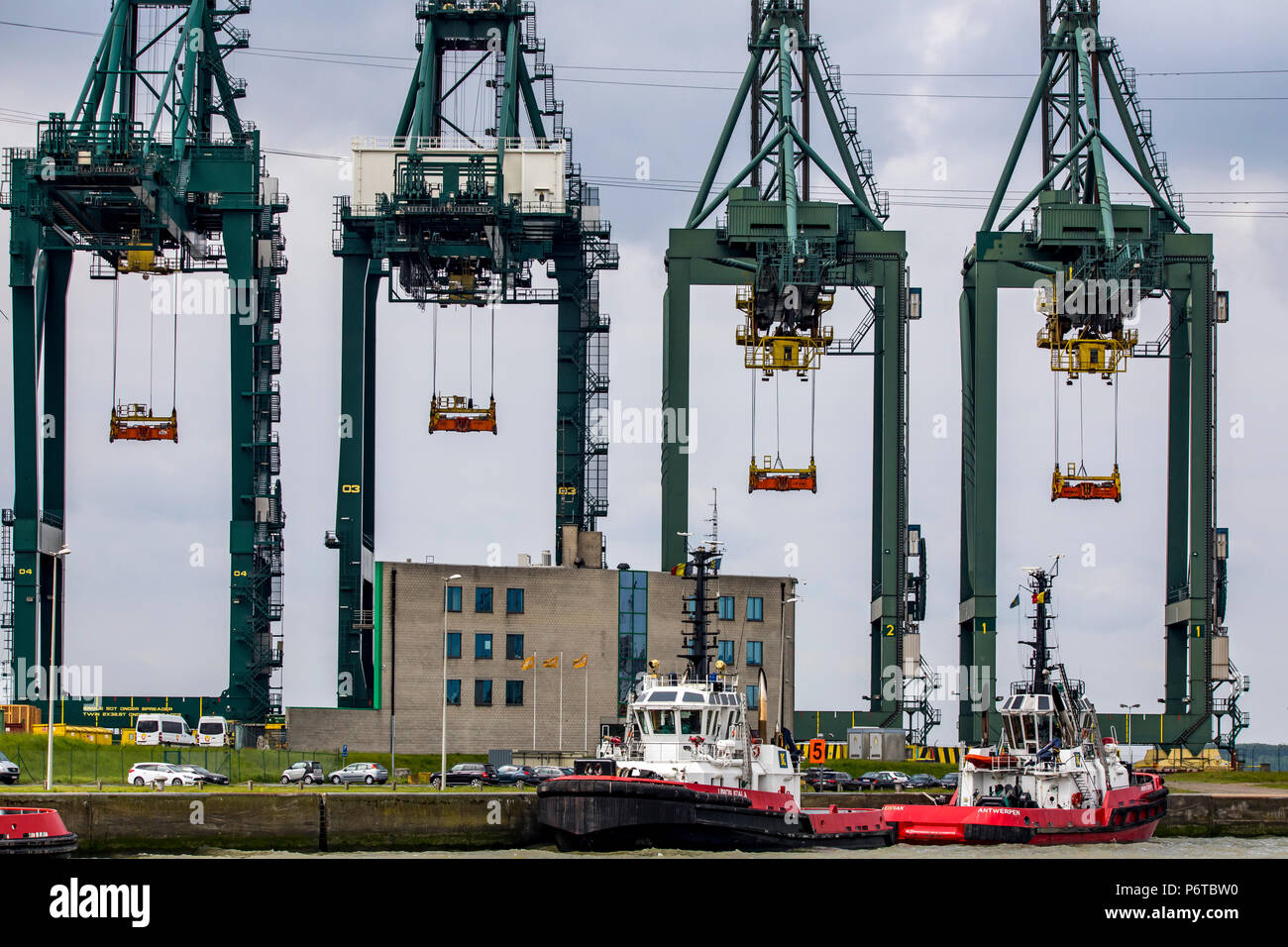 Container Terminal North Sea Terminal, Port of Antwerp, Belgium Stock ...