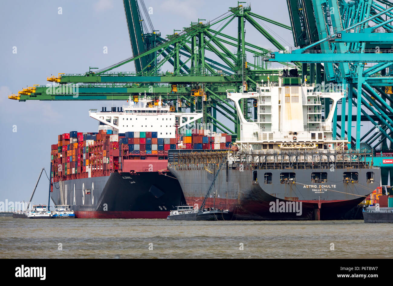 Container Terminal North Sea Terminal, Port of Antwerp, Belgium ...