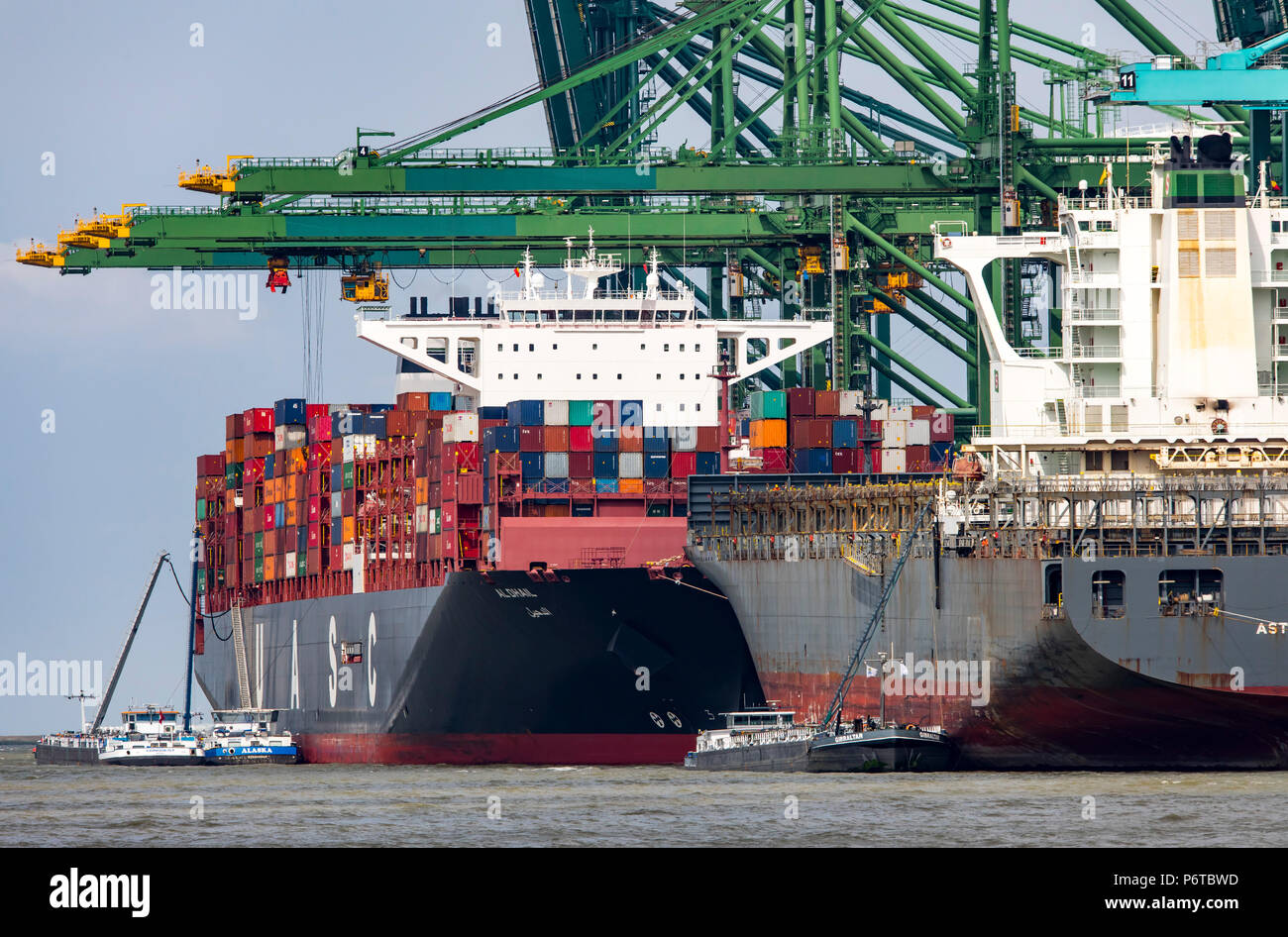 Container Terminal North Sea Terminal, Port of Antwerp, Belgium ...