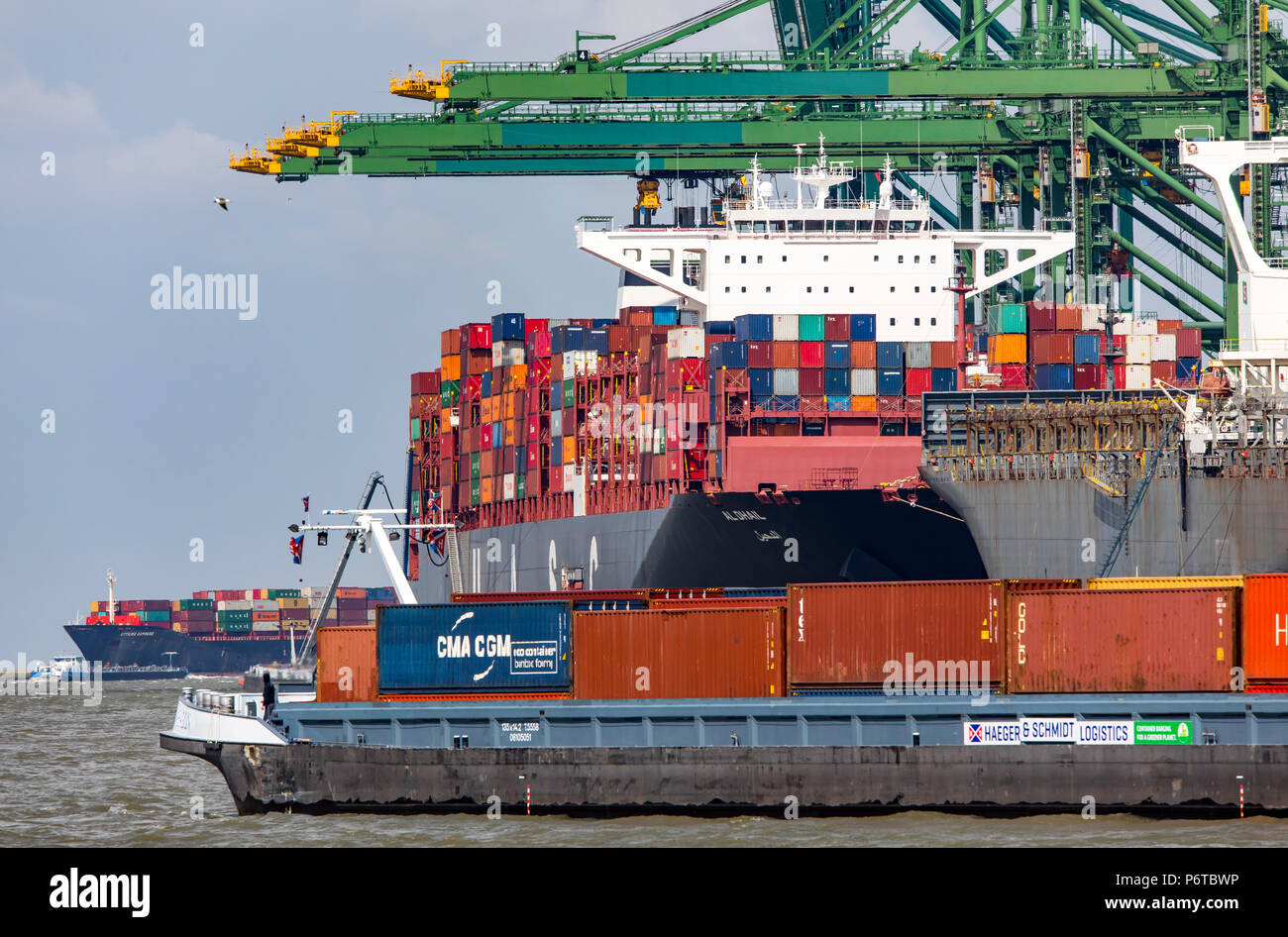 Container Terminal North Sea Terminal, Port of Antwerp, Belgium ...