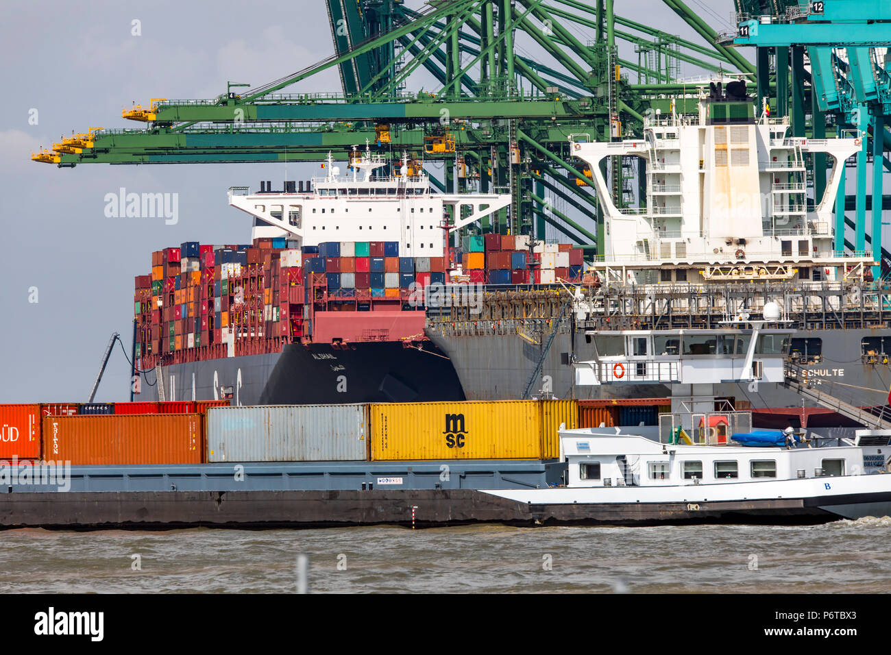 Container Terminal North Sea Terminal, Port of Antwerp, Belgium ...