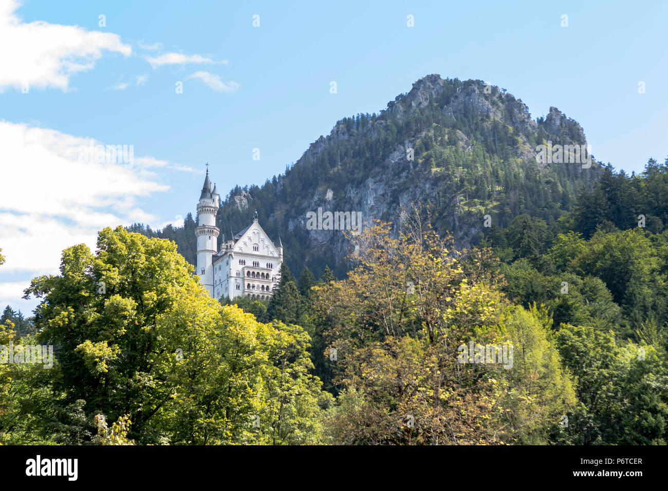 Neuschwanstein Castle in Bavaria, Germany Stock Photo - Alamy