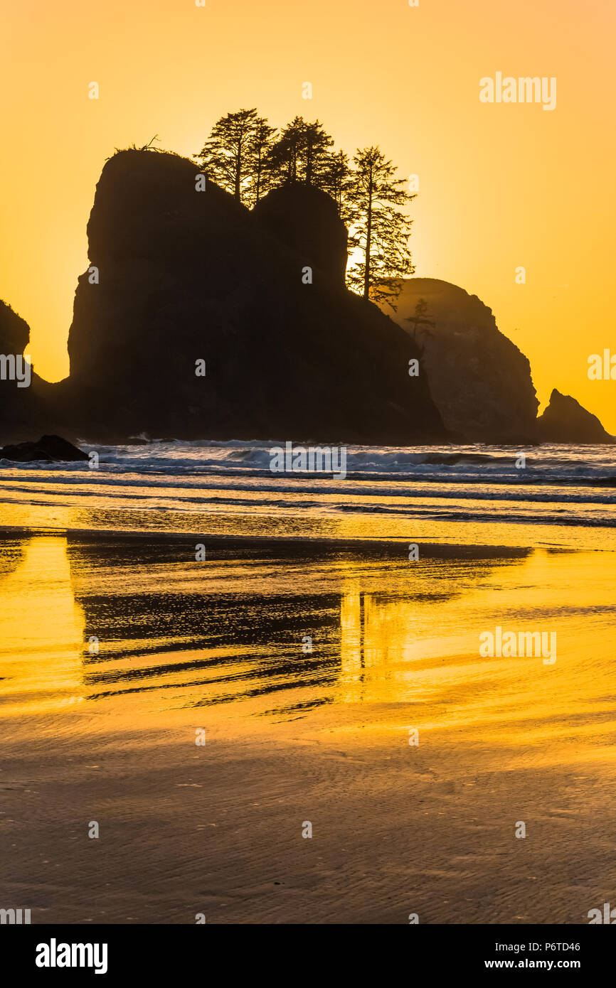 Point of Arches rocks at sunset, viewed from Shi Shi Beach along the Pacific Ocean in Olympic National Park, Washington State, USA Stock Photo