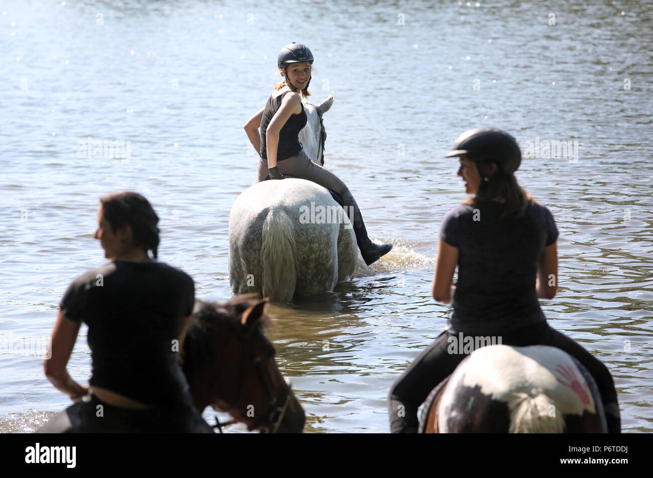 Oberoderwitz, girls ride their horses through a lake Stock Photo