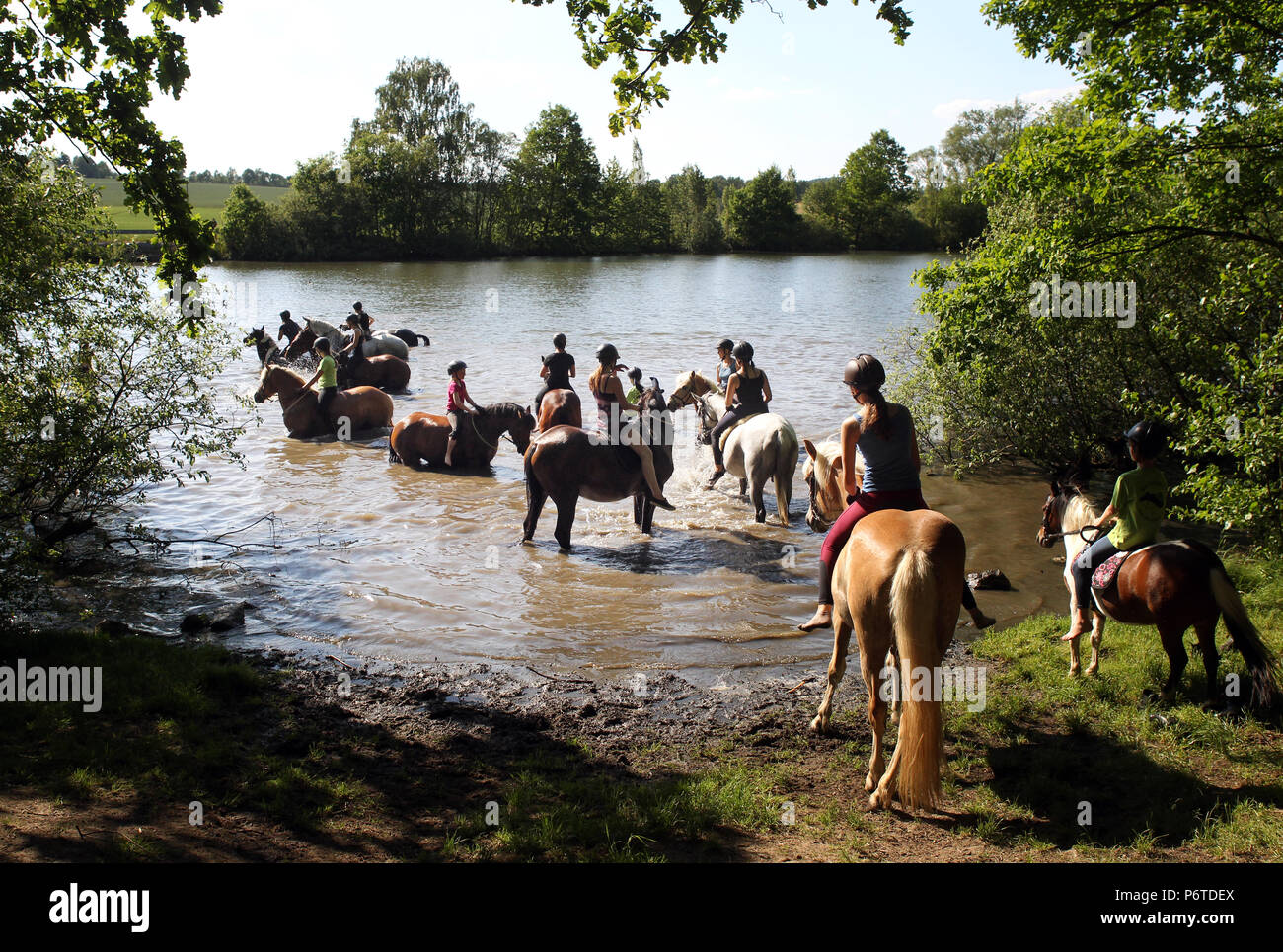Oberoderwitz, girls bathe with their horses in a lake Stock Photo
