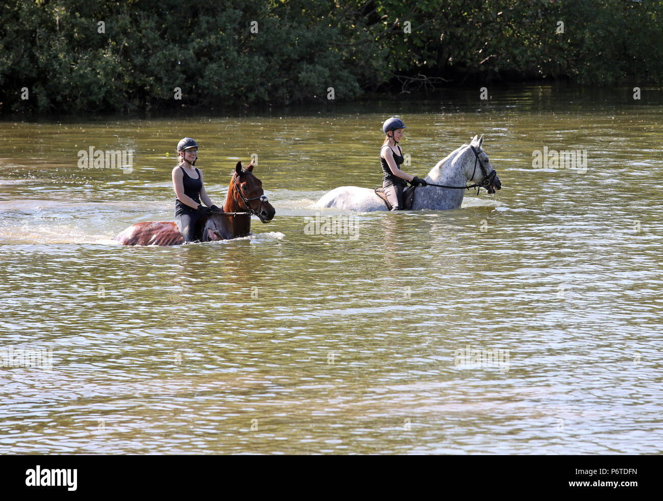 Oberoderwitz, girls ride their horses through a lake Stock Photo