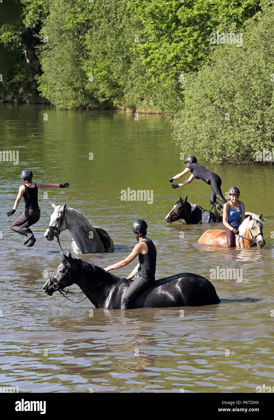 Oberoderwitz, girls jump from their horses into a lake Stock Photo