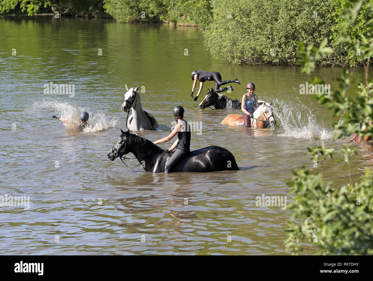 Oberoderwitz, girls jump from their horses into a lake Stock Photo
