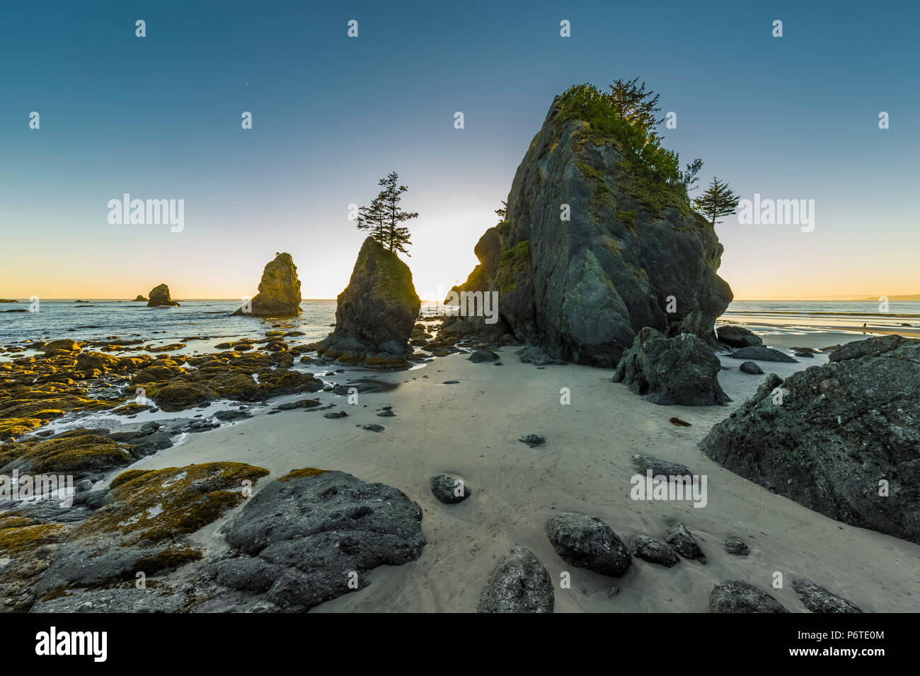 Point of Arches rocks at sunset, viewed from Shi Shi Beach along the Pacific Ocean in Olympic National Park, Washington State, USA Stock Photo