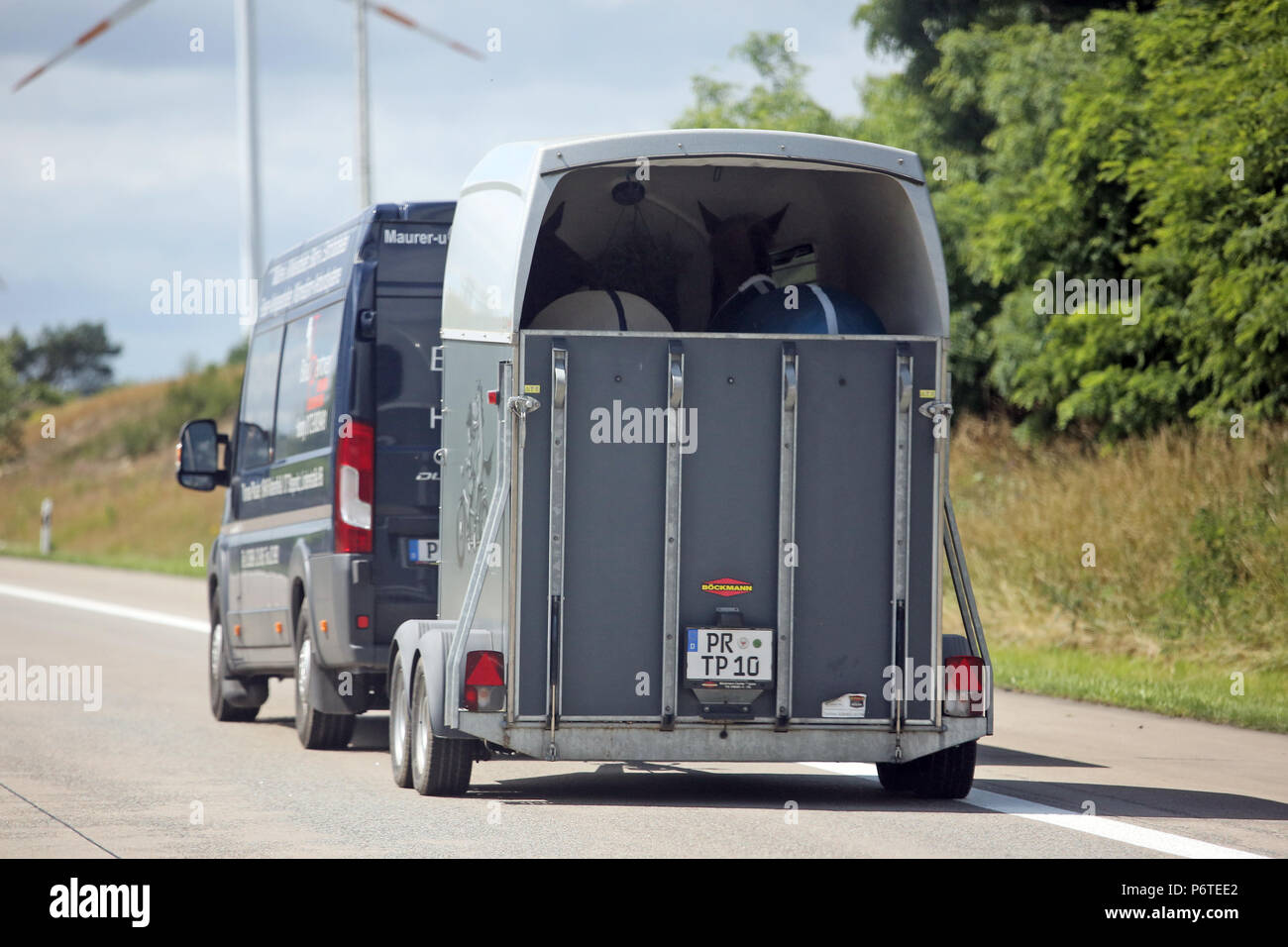 Hamburg, minibus with horse trailer on the highway Stock Photo