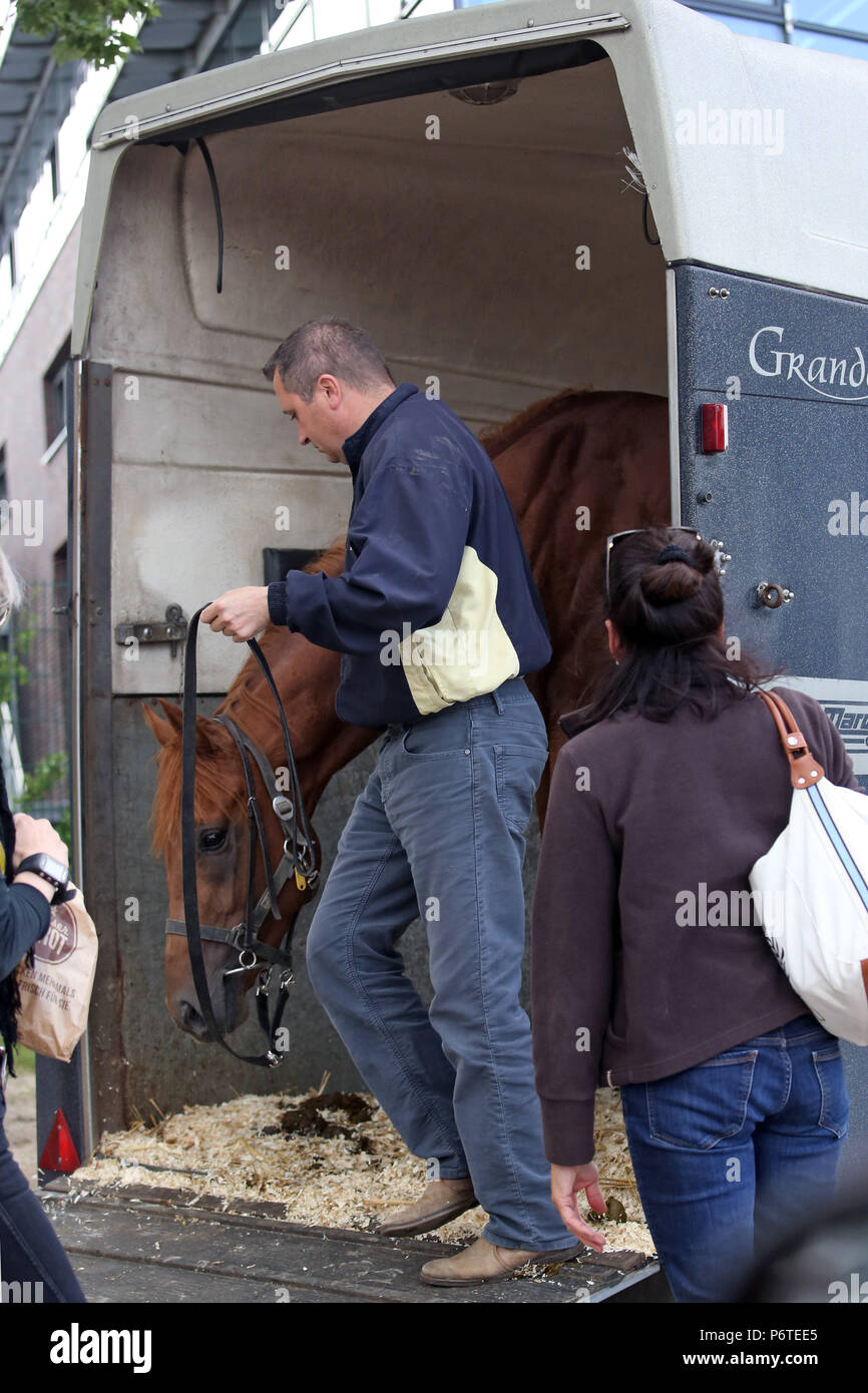 Hamburg, coach Pavel Vovcenko launches a horse out of the hanger Stock Photo