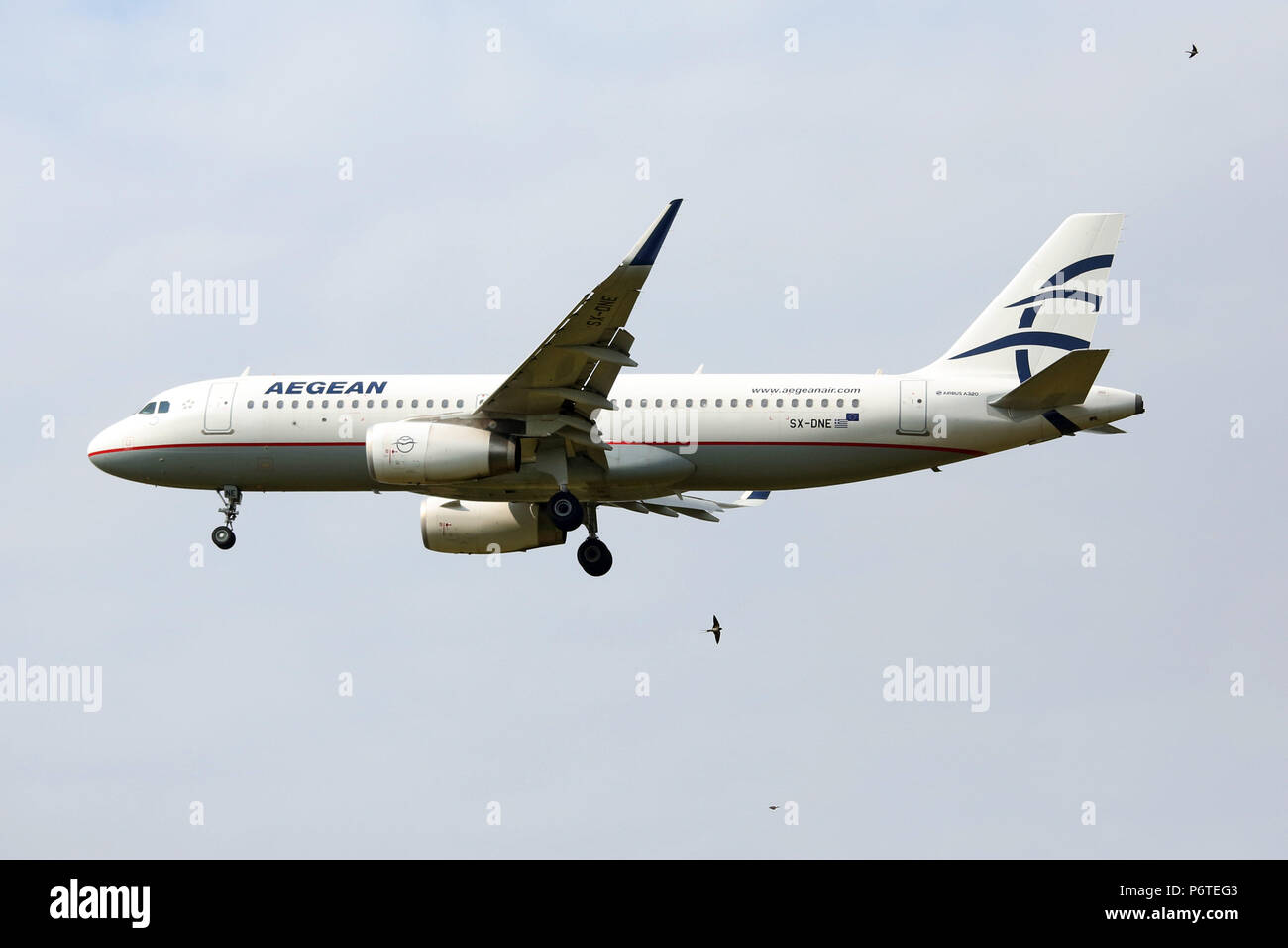 Langenhagen, Germany, birds fly next to an A320 of the airline Aegean Airlines Stock Photo