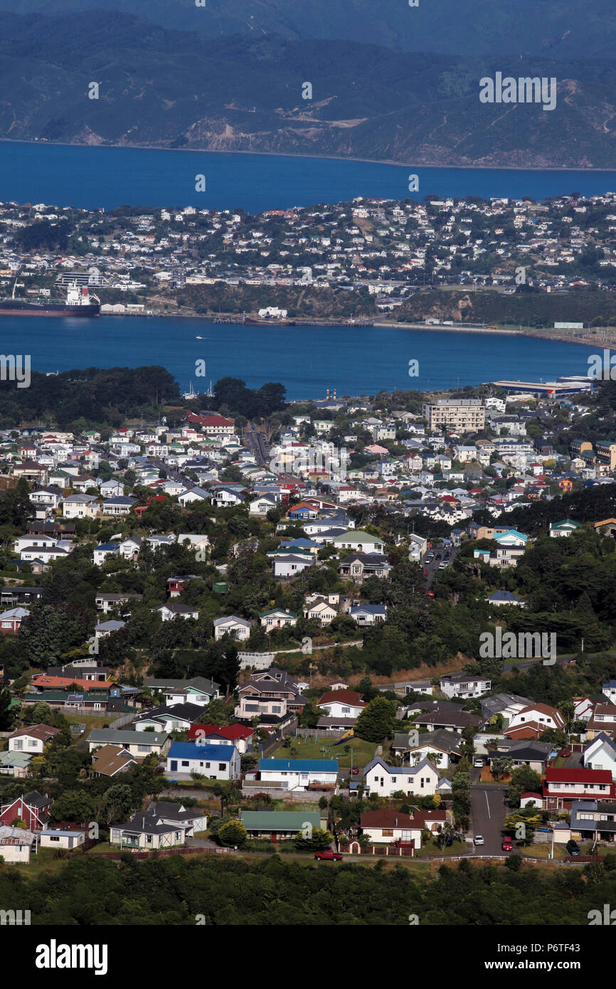 View of houses and Wellington Harbour in Wellington, New Zealand Stock