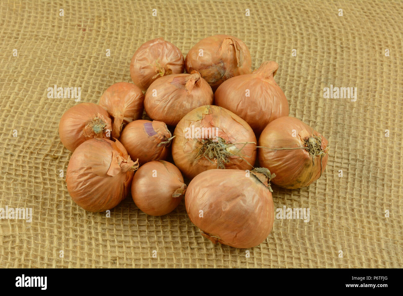 Heap of raw whole unpeeled shallot onions on burlap Stock Photo