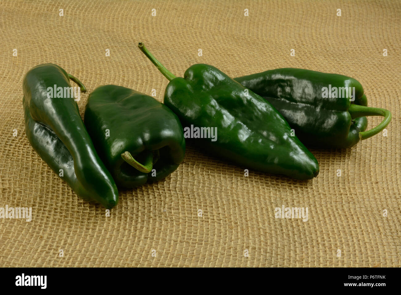 four raw whole freshly rinsed poblano peppers on burlap Stock Photo
