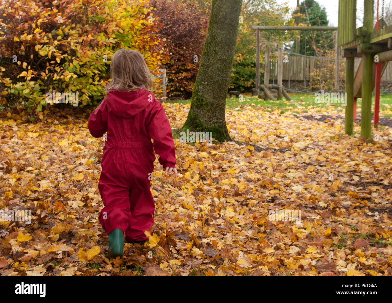 Rear view of toddler walking through autumn leaves wearing a red puddle suit and green wellies Stock Photo
