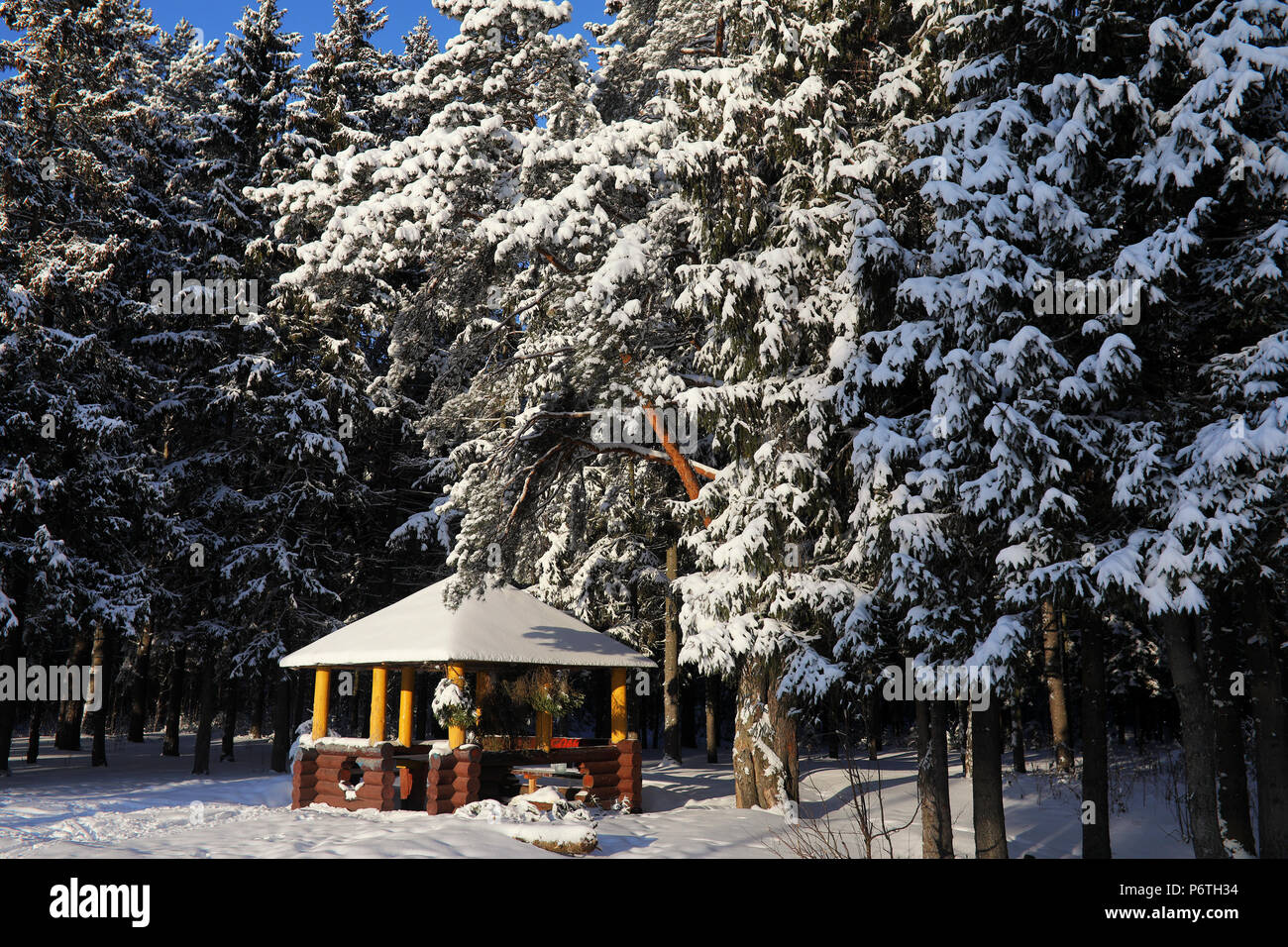 wooden gazebo in the forest in winter sunny day Stock Photo - Alamy