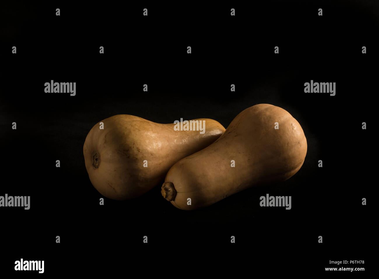 Squashes on a black background Stock Photo