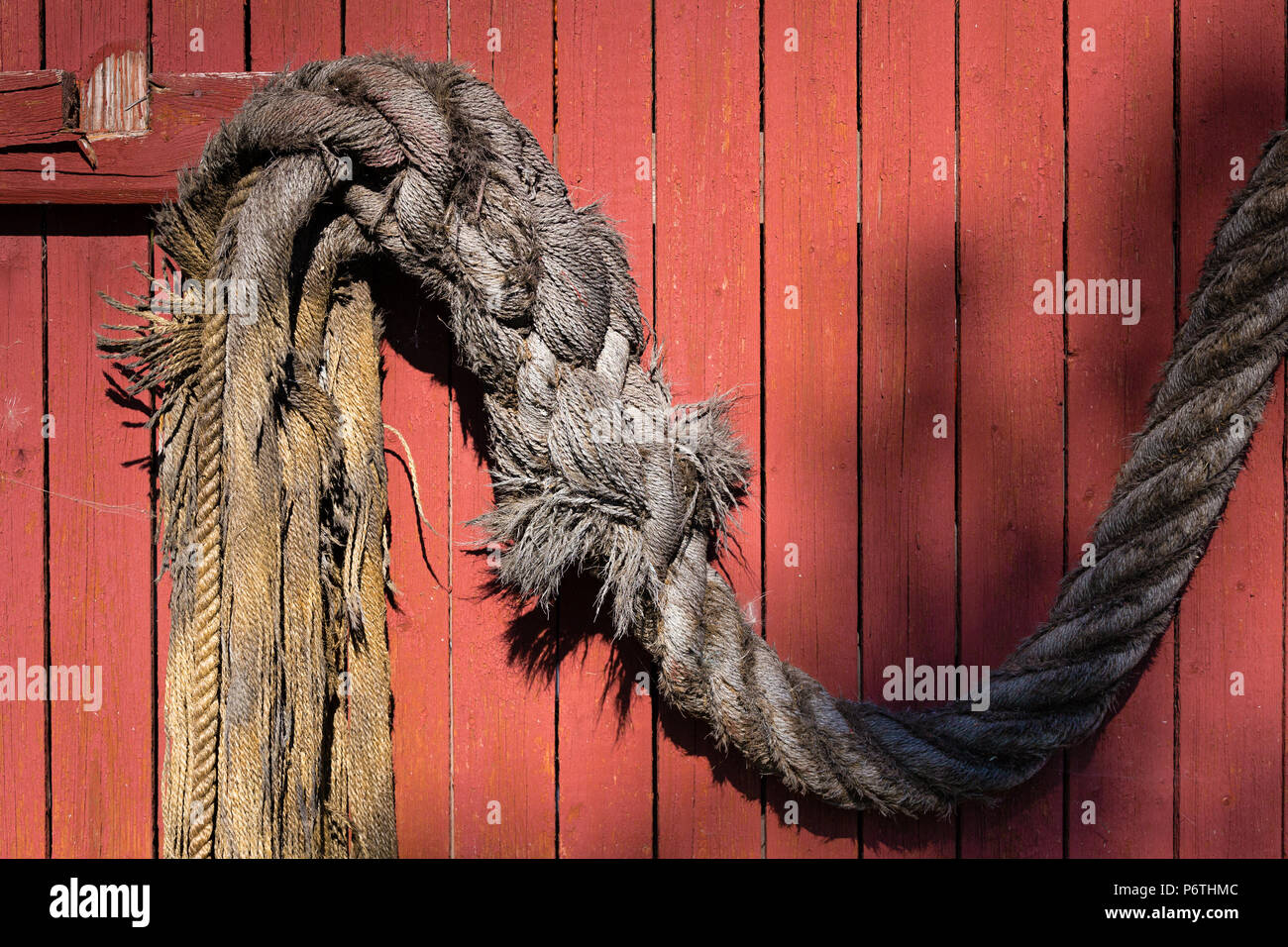 Old grey unwinding rope hanging on red wooden wall Stock Photo