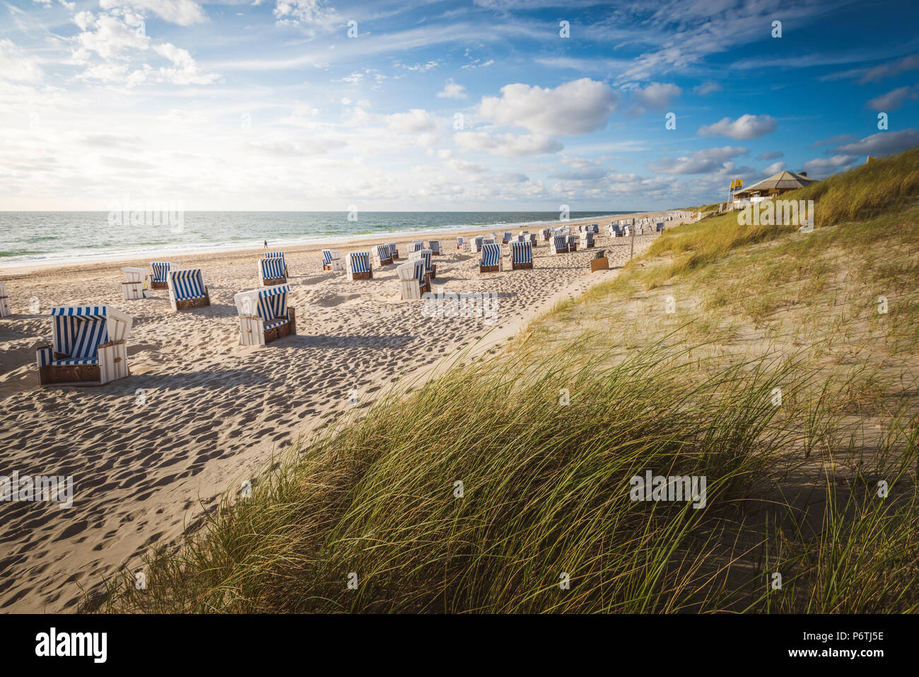 Kampen, Sylt island, North Frisia, Schleswig-Holstein, Germany. Strandkorbs on the beach. Stock Photo