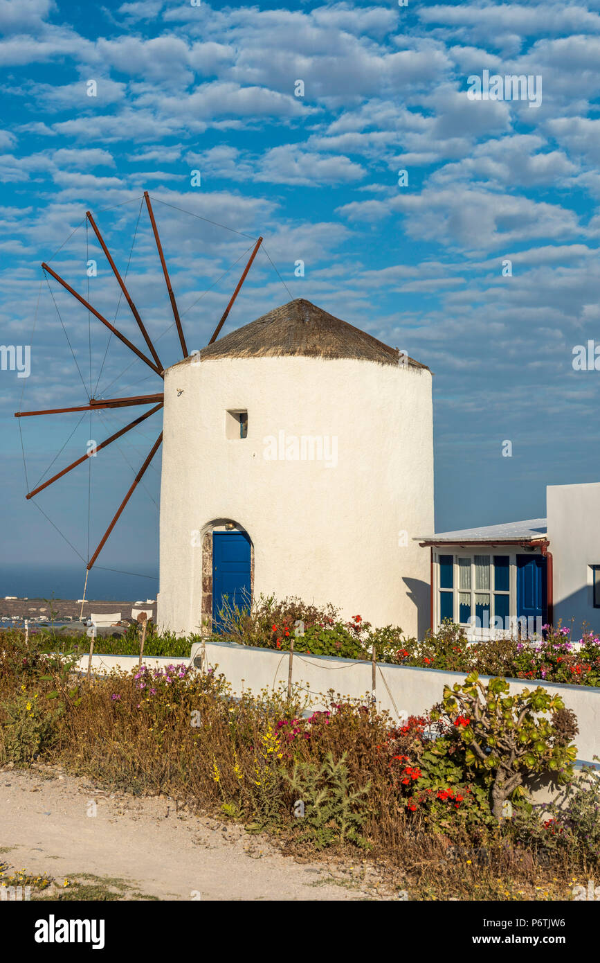 Windmill, Oia, Santorini, South Aegean, Greece Stock Photo