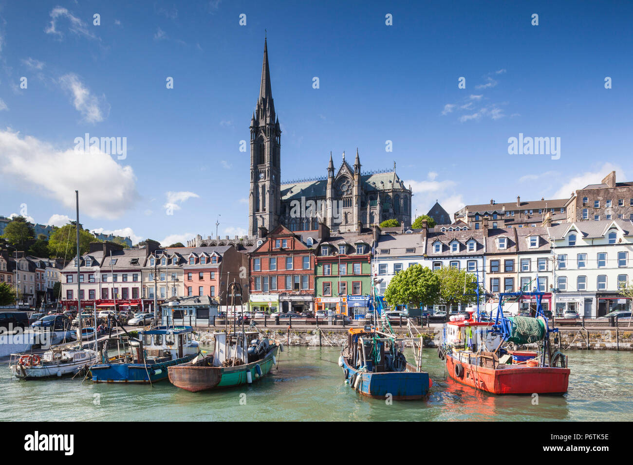Ireland, County Cork, Cobh, St. Colman's Cathedral from Cobh Harbor ...