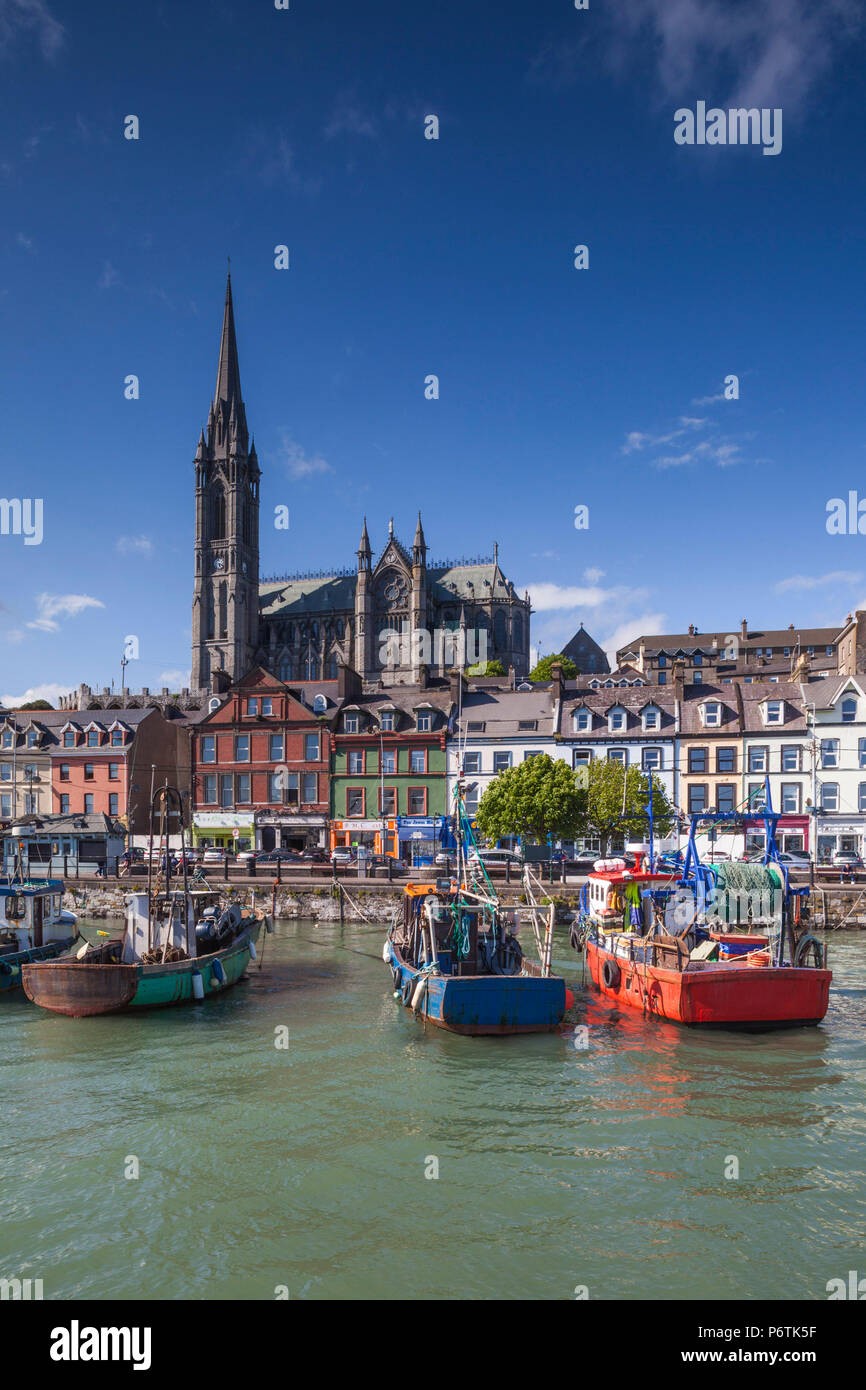 Ireland, County Cork, Cobh, St. Colman's Cathedral from Cobh Harbor ...
