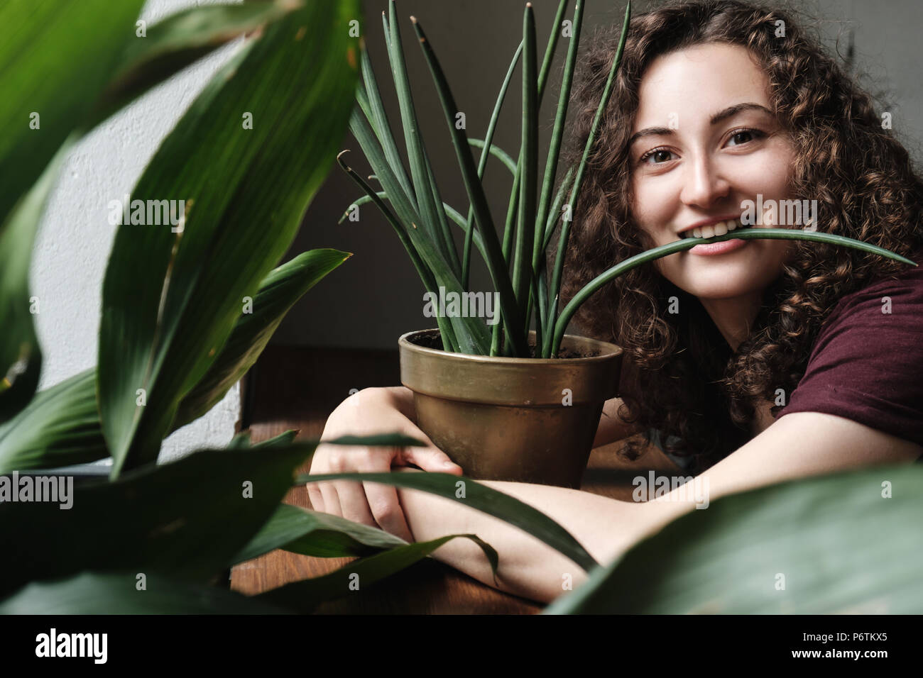 beautiful young brunette girl with a green plant in pot Stock Photo - Alamy