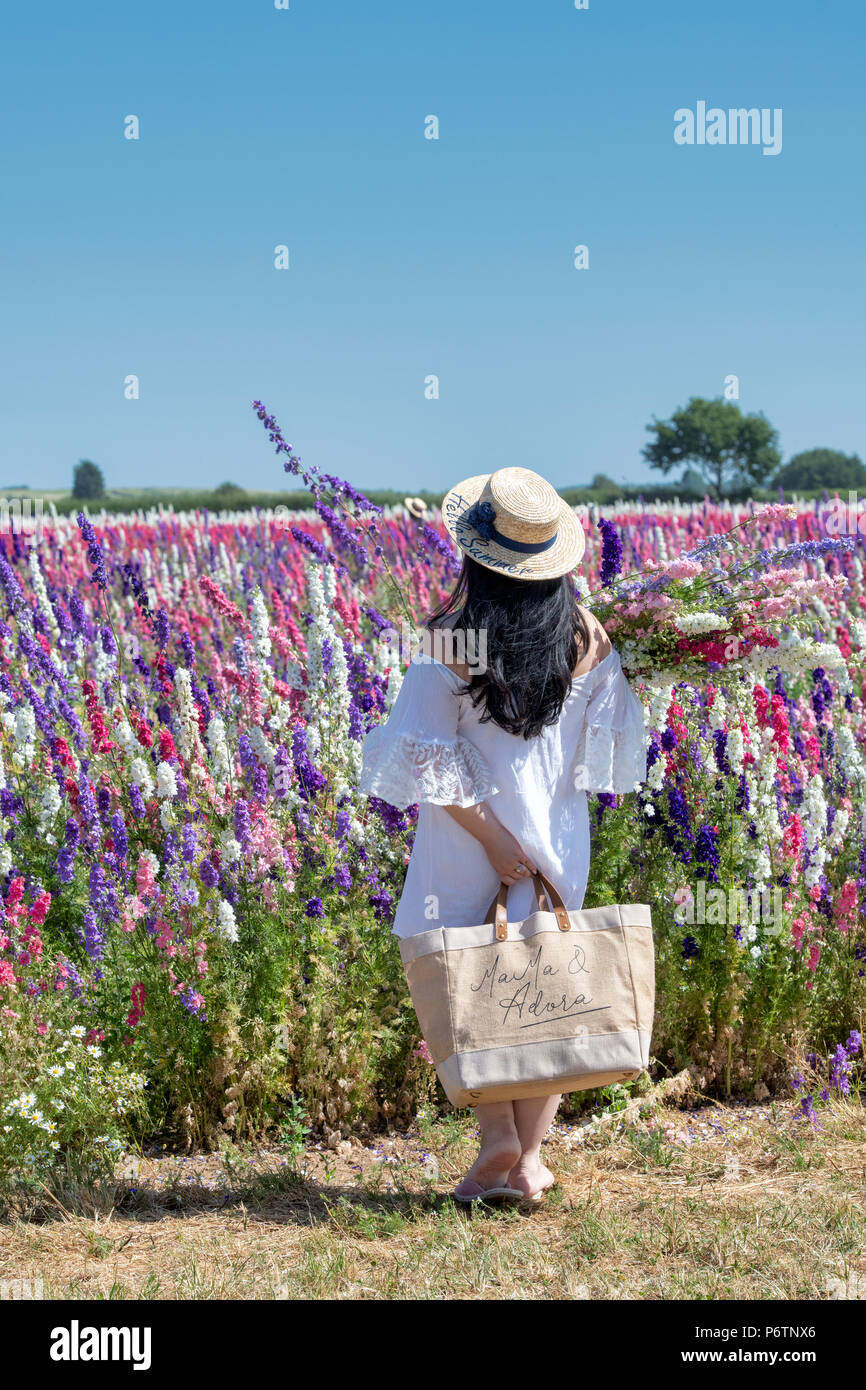 Asain tourist holding a bunch of cut flowers in front of the Delphiniums at the Real Flower Petal Confetti company flower fields in Wick, Pershore, UK Stock Photo