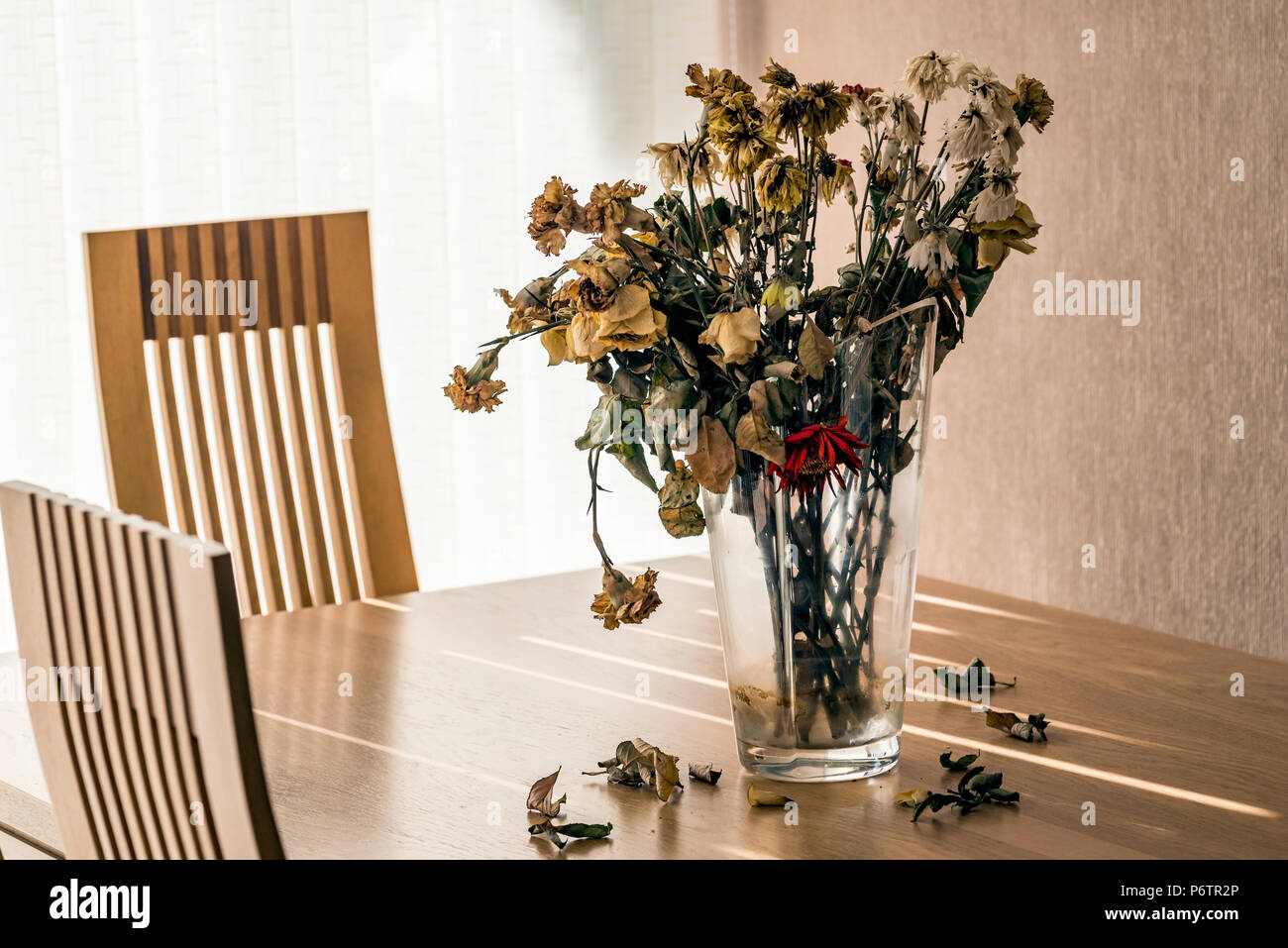 Vase of dead flowers on a dining room table. Stock Photo