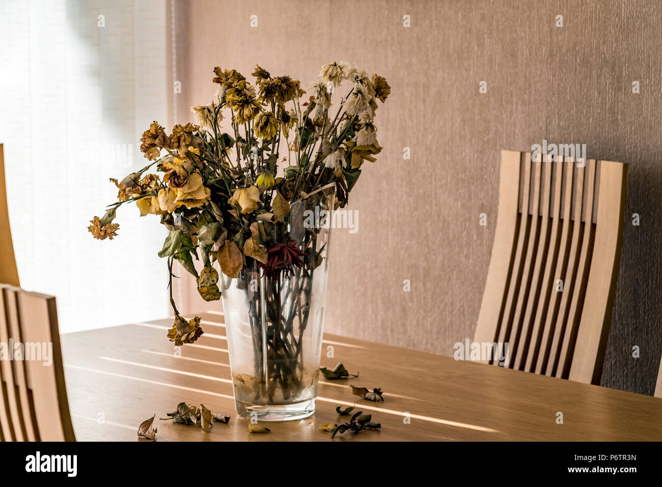 Dead flowers hires stock photography and images Alamy