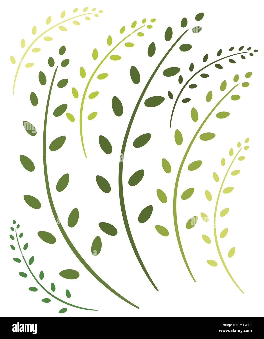 Various green branch with leaves. Flat vector illustration isolated on ...