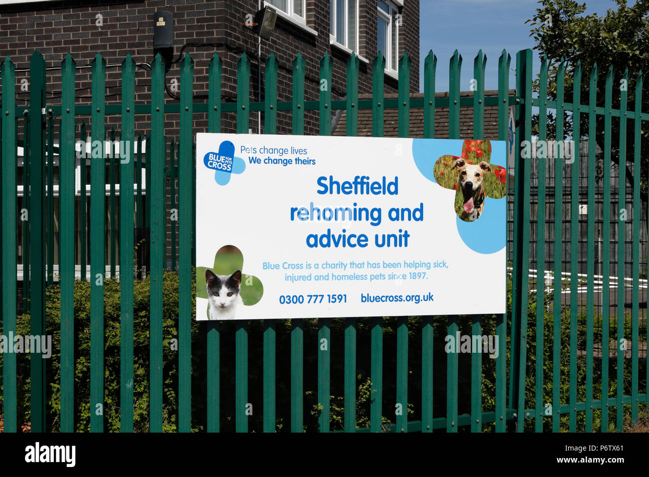 Blue Cross, Sheffield rehoming and advice unit for unwanted pets animals. England UK Stock Photo