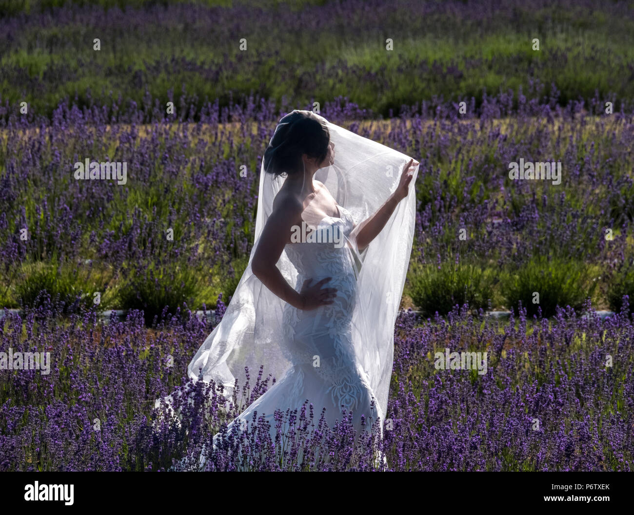 open lace back dress Purple Sequin Prom Dresses,Long evening Dress,formal Dress fg3687 –  formalgowns main image 1