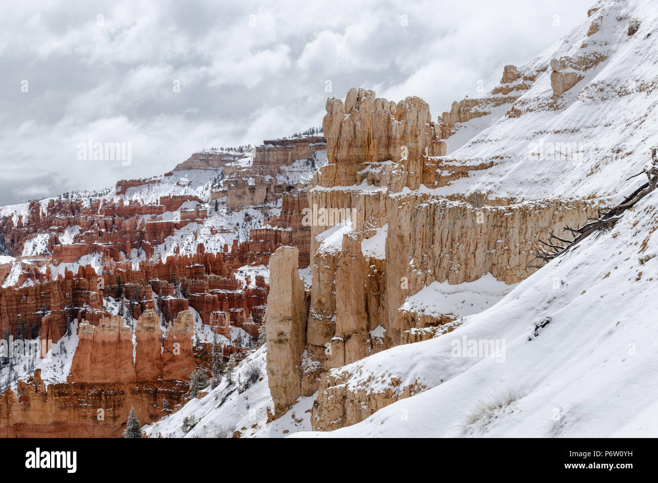 Rocky outcrop with snow with hoodoos in the background; Bryce Canyon National Park, Utah. Stock Photo