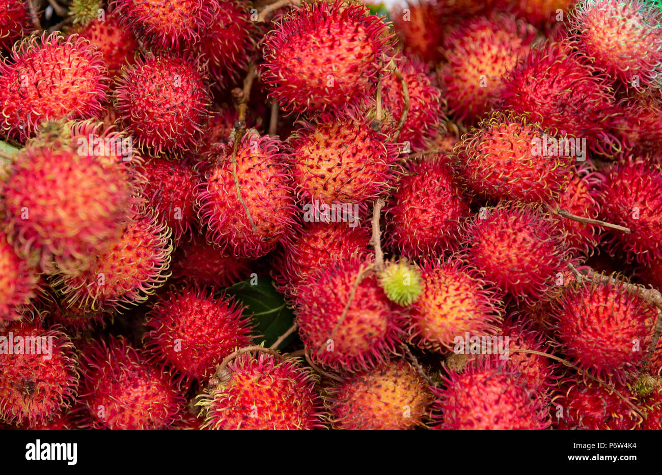 Background of fresh ripe rambutan Stock Photo
