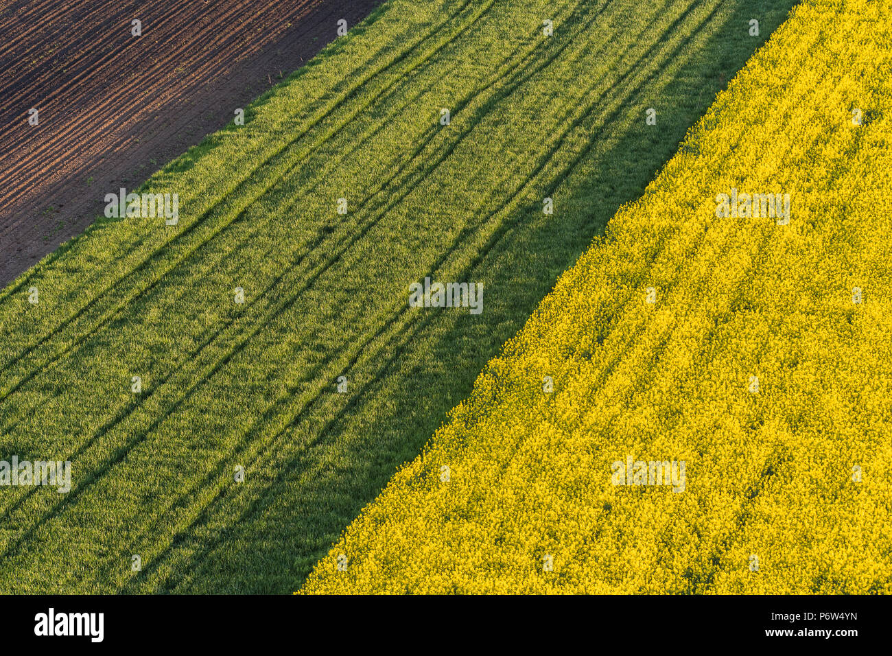 Agricultural landscape, arable crop field Stock Photo - Alamy
